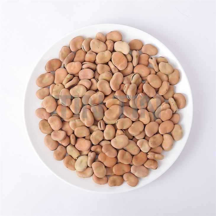 Fava verda