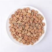 Fava verda