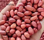 Cacauet de pell vermella de la Xina