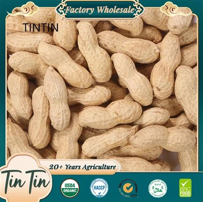 Cacauets tradicionals en closca xinès