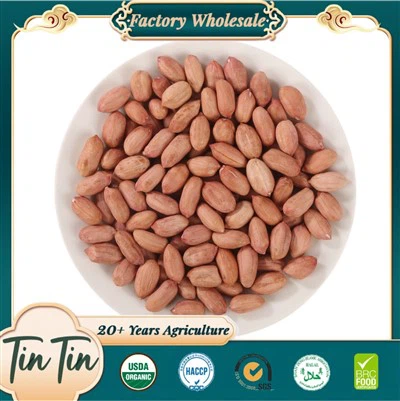 Grans de cacauet de cultiu d'alta qualitat