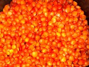 Llentia vermella a la salut